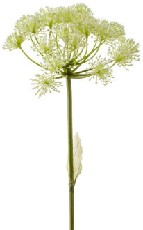Emerald Kunstbloem Berenklauw - 78 cm - wit - losse tak - kunst zijdebloem - Heracleum