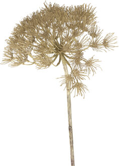 Emerald Kunstbloem Berenklauw/Heracleum - 80 cm - Kunstbloemen boeketten - kunsttak Bruin
