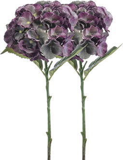 Emerald Kunstbloem hortensia tak - 2x - 50 cm - groen/paars - kunst zijdebloemen - decoratie - hydrangea