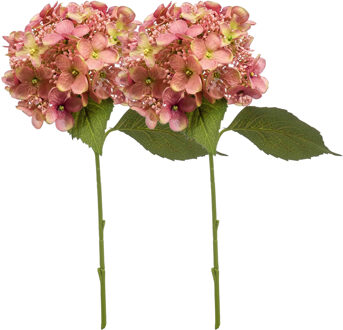 Emerald Kunstbloem hortensia tak - 2x - 50 cm - oud roze - kunst zijdebloem - Hydrangea - decoratie bloem - Kunsttakken