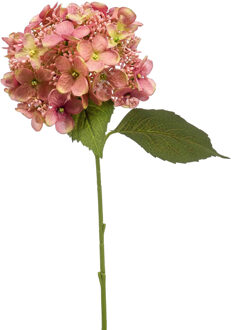 Emerald Kunstbloem hortensia tak - 50 cm - oud roze - kunst zijdebloem - Hydrangea - decoratie bloem - Kunsttakken