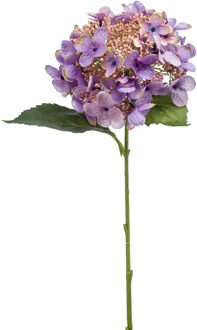 Emerald Kunstbloem Hortensia tak - 50 cm - paars - kunst zijdebloem - Hydrangea - decoratie bloem