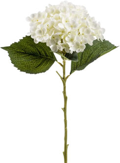 Emerald Kunstbloem Hortensia tak - Annabelle - 52 cm - creme - Kunst zijdebloem - Hydrangea