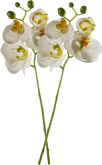Emerald Kunstbloem Orchidee - 2x - 56 cm - wit - losse tak - kunst zijdebloem - Phalaenopsis