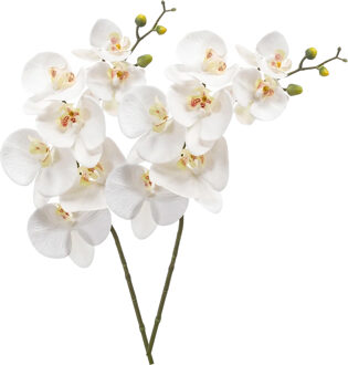 Emerald Kunstbloem Orchidee - 2x - 83 cm - wit - losse tak - kunst zijdebloem - Phalaenopsis