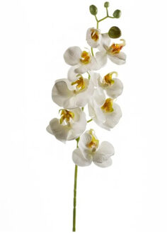 Emerald Kunstbloem Orchidee - 68 cm - wit - losse tak - kunst zijdebloem - Phalaenopsis