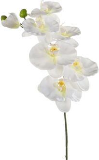 Emerald Kunstbloem Orchidee - 80 cm - wit - losse tak - kunst zijdebloem - Phalaenopsis - Kunstbloemen