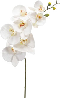 Emerald Kunstbloem Orchidee - 83 cm - wit - losse tak - kunst zijdebloem - Phalaenopsis