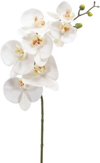 Emerald Kunstbloem Orchidee - 83 Cm - Wit - Phalaenopsis