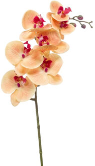 Emerald Kunstbloem Orchidee - 83 cm - zalm kleurig - losse tak - kunst zijdebloem - Phalaenopsis - Kunstbloemen Roze