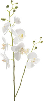 Emerald Kunstbloem Orchidee - 95 cm - wit - losse tak - kunst zijdebloem - Phalaenopsis