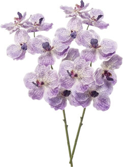 Emerald Kunstbloem Orchidee Vanda - 2x - 77 cm - paars/lila - losse tak - kunst zijdebloem