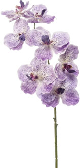 Emerald Kunstbloem Orchidee Vanda - 77 cm - paars/lila - losse tak - kunst zijdebloem - Kunstbloemen