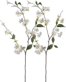 Emerald Kunstbloem Perzik bloesem - 2x - 80 cm - creme - Kunst zijdebloemen