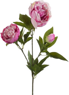 Emerald Kunstbloem pioenrozen tak - 3 bloemen - roze - 70 cm - decoratie