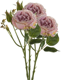 Emerald Kunstbloem roos Anne - 3x - paars - 37 cm - decoratie bloemen