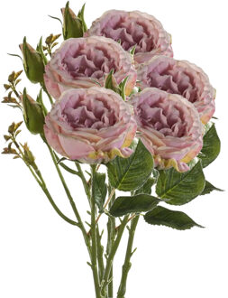 Emerald Kunstbloem roos Anne - 5x - paars - 37 cm - decoratie bloemen