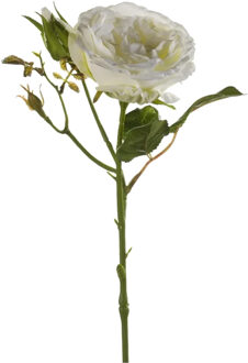 Emerald Kunstbloem roos Anne - creme wit - 37 cm - decoratie bloemen
