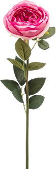 Emerald Kunstbloem roos Joelle - fuchsia - 65 cm - decoratie bloemen