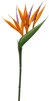 Emerald Kunstbloem Strelitzia - 65 cm - losse tak - kunst zijdebloem - Paradijsvogelplant - Kunsttakken Oranje