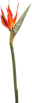 Emerald Kunstbloem Strelitzia - 85 cm - losse tak - kunst zijdebloem - Paradijsvogelplant - decoratie Oranje