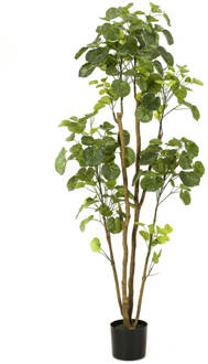 Emerald Kunstboom in pot aralia 160 cm Groen