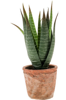 Emerald Kunstplant Aloe Vera - groen - in oude terracotta pot - 23 cm - Kunstplanten