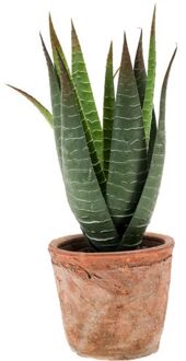 Emerald Kunstplant Aloe Vera - groen - in oude terracotta pot - 23 cm - Kunstplanten