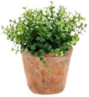 Emerald Kunstplant eucalyptus - groen - in oud terracotta pot - 20 cm Salie groen