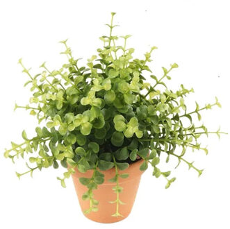 Emerald Kunstplant eucalyptus - groen - in terracotta pot - 20 cm