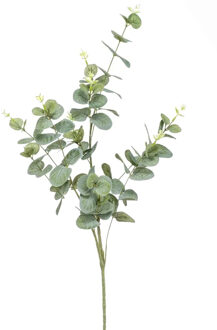 Emerald Kunstplant Eucalyptus - groen - takken - 75 cm - Kunstbloemen