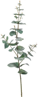 Emerald Kunstplant Eucalyptus - groen - takken - hangplant - 68 cm - Kunstbloemen