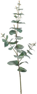 Emerald Kunstplant Eucalyptus - groen - takken - hangplant - 68 cm