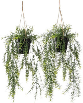 Emerald kunstplant/hangplant - 2x - Asparagus - groen - 50 cm lang - Kunstplanten