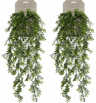 Emerald kunstplant/hangplant - 2x - Buxus - groen - 75 cm lang - Kunstplanten