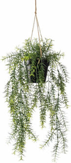 Emerald kunstplant/hangplant - Asparagus - groen - 50 cm lang - Kunstplanten