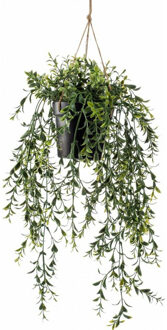 Emerald kunstplant/hangplant - Buxus - groen - 50 cm lang - Kunstplanten