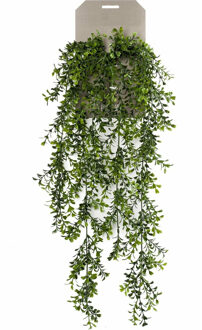 Emerald kunstplant/hangplant - Buxus - groen - 75 cm lang - Kunstplanten