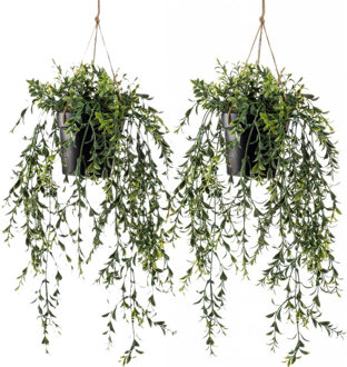 Emerald kunstplant/hangplant in pot - 2x - Buxus - groen - 50 cm lang