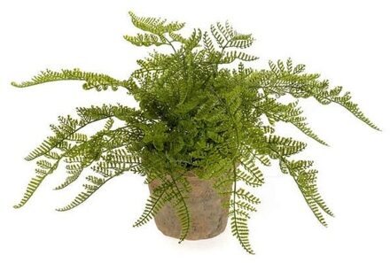 Emerald Kunstplant herfst Varen - groen - H30 cm - in pot - nepplant - kamerplant