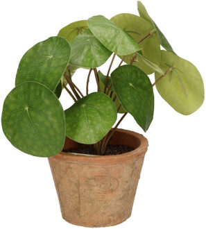 Emerald Kunstplant pilea/pannekoekplant - groen - in pot - 25 cm - Kunstplanten