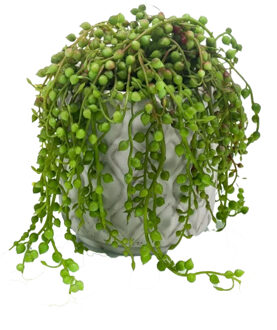 Emerald Kunstplant Senecio/erwtenplant - groen - in pot - 27 cm - hangplant - Kunstplanten Grijs