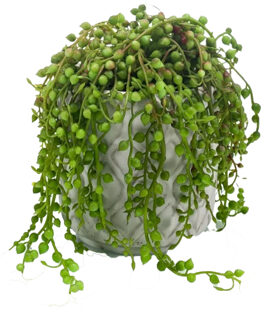 Emerald Kunstplant Senecio/erwtenplant - groen - in pot - 27 cm - hangplant