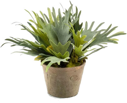 Emerald Kunstplant Staghorn varen - groen - in grijs betonlook pot - 38 cm - Kunstplanten