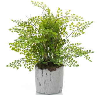 Emerald Kunstplant Varen - 28 cm - In Pot - Decoratie Kunstplanten voor binnen Groen