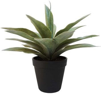 Emerald Kunstplanten Agave - grijs/groen - in zwarte pot - 19 cm