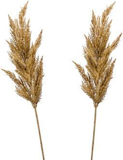 Emerald Pampasgras pluim losse steel/tak - 2x - lichtbruin - 92 cm - Decoratie kunst graspluimen