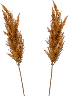 Emerald Pampasgras pluim losse steel/tak - 2x - roestbruin - 92 cm - Decoratie kunst graspluimen