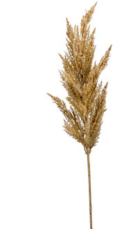 Emerald Pampasgras pluim losse steel/tak - lichtbruin - 92 cm - Decoratie kunst graspluimen