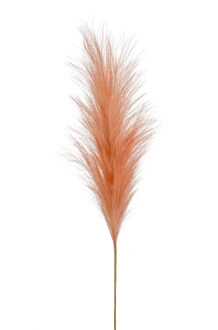 Emerald Pampasgras pluim losse steel/tak - oudroze - 115 cm - Decoratie kunst graspluimen